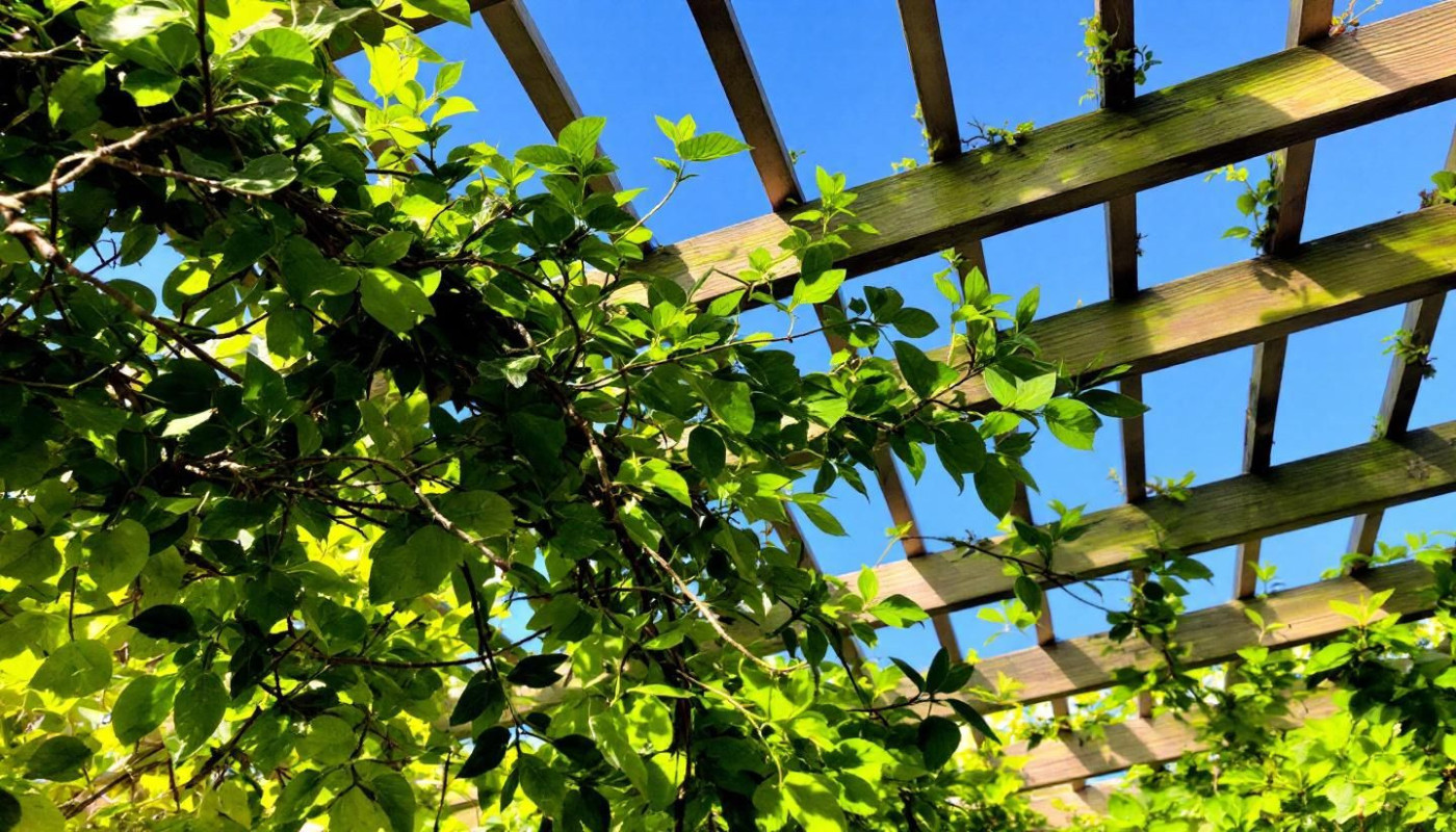 Comment choisir la pergola idéale pour votre espace extérieur ?